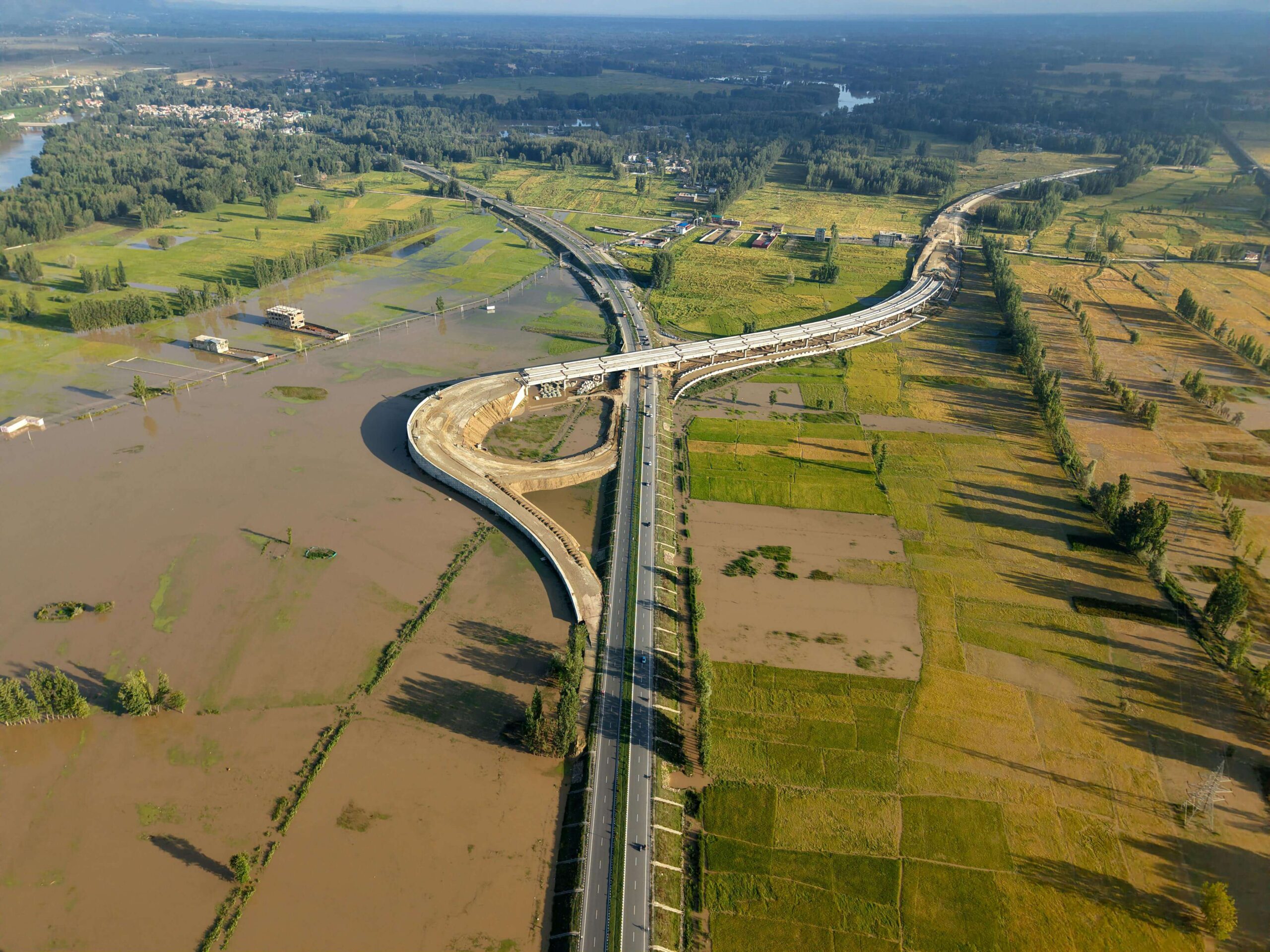 pexels-imadclicks-33779923 (1)